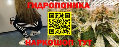 шишки Малоярославец
